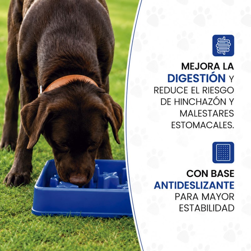 Eat Slow Live Longer Plato Comedero Antiestres "S" - Azul