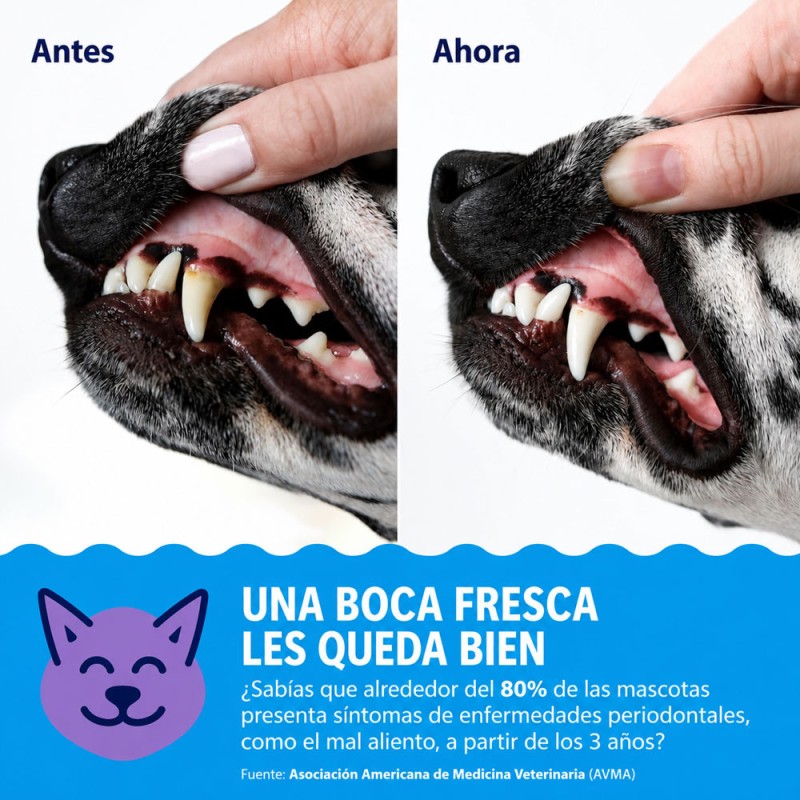 Dental Fresh DOG Plaque y Tartar 17 OZ