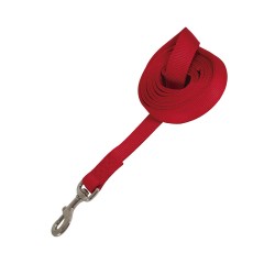 Petmate Correa De Nylon Extra Grande Color Rojo PETMATE - 1