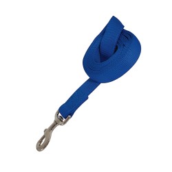 Petmate Correa De Nylon Extra Grande Color Azul PETMATE - 1