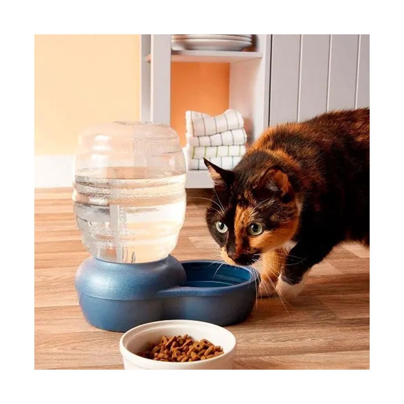 Petmate Bebedero Relleno con Microban 0.5 Gal Color Azul PETMATE - 2