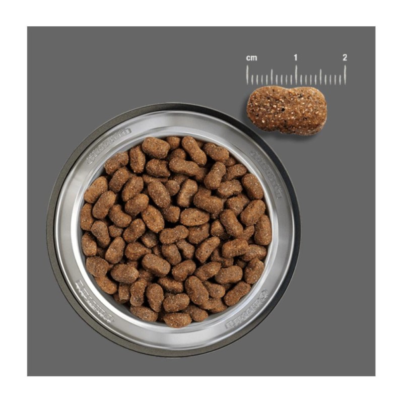 Belcando Perros Adultos Sabor Cordero y Arroz 4 kg Belcando - 2