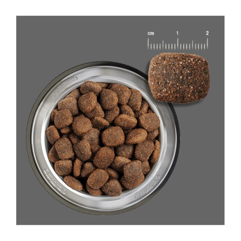Belcando Perros Adultos Libre de Granos Ocean 12.5 kg Belcando - 3