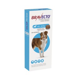Bravecto Tableta 1000 mg Antipulgas Para Perros 20kg - 40kg - Patmopet