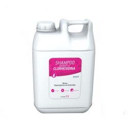 Shampoo Zoovet con Clorhexidina 5L | Antibacterial | Patmo Pet