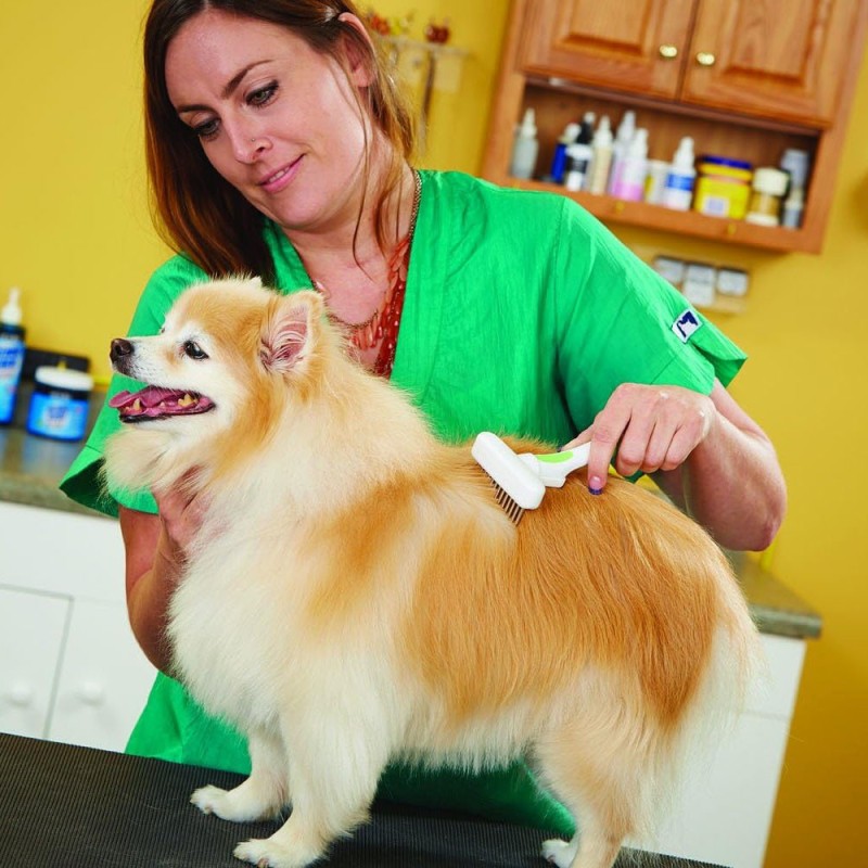 Andis 65735 Flexible Rake Comb Rastrillo Flexible para Perros