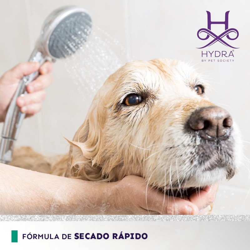 Shampoo Profesional Hydra Moist 5 litros