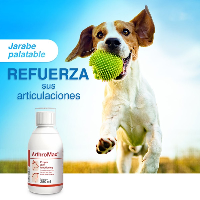Suplemento Articular para Perros y Gatos ArthroMAX 250ml
