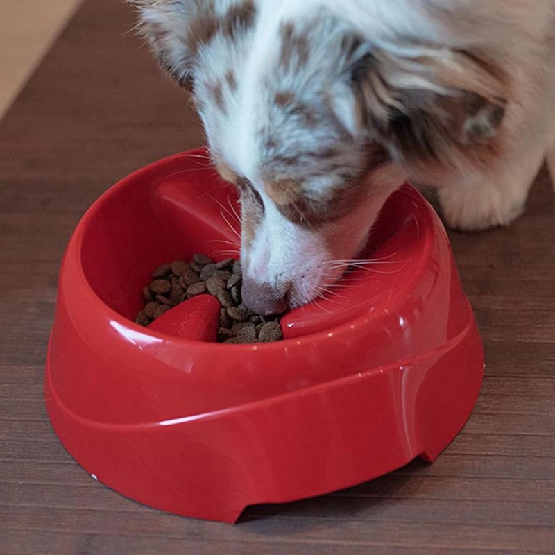 FERPLAST Magnus Slow Large - Plato Comedero Antivoracidad para Perros