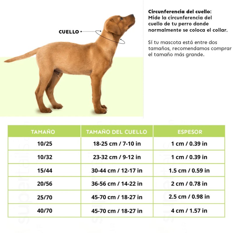 Ferplast Collar Ajustable Club C Blanco para Perros C10/32