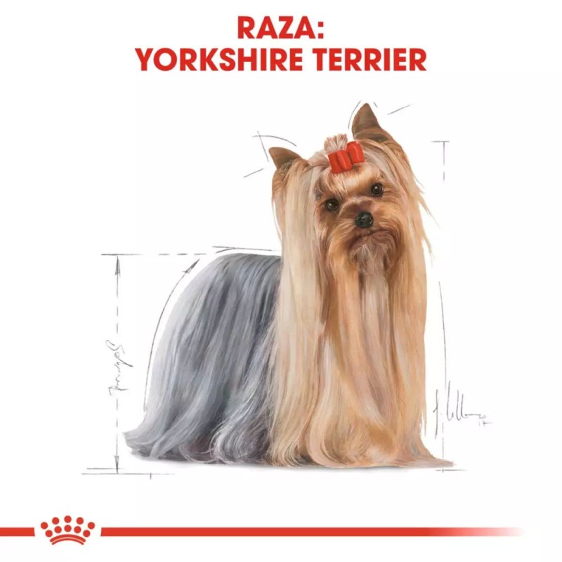 Alimento Royal Canin BHN para Perros Yorkshire Adulto 7.5Kg