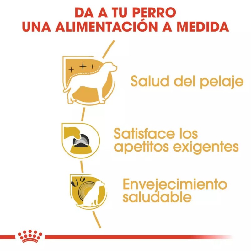 Alimento Royal Canin BHN para Perros Yorkshire Adulto 7.5Kg