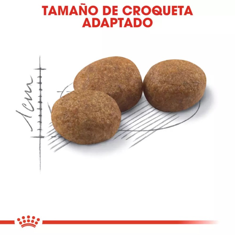 Alimento Royal Canin FHN para Gatos Esterilizados 37 2kg