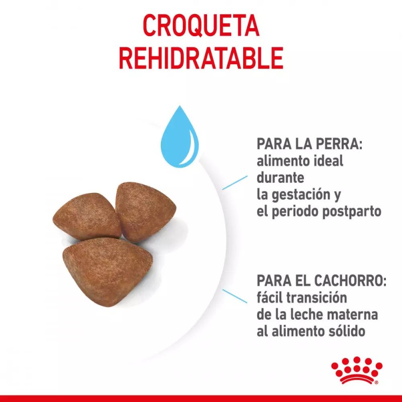 Alimento Royal Canin SHN Mini Starter Mother & Babydog 4Kg