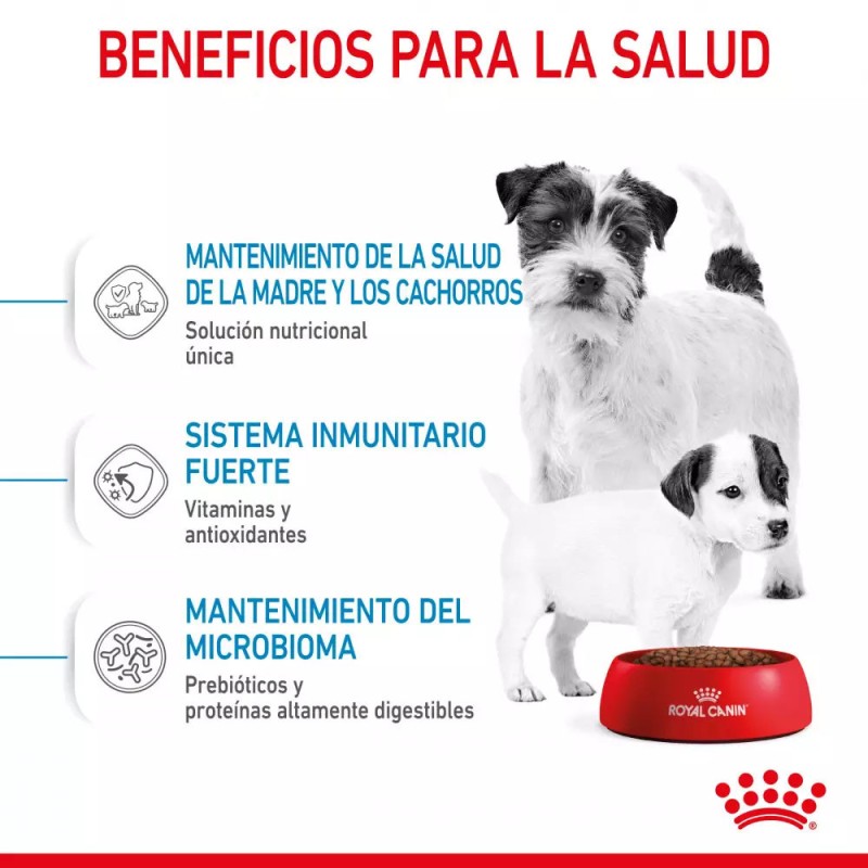 Alimento Royal Canin SHN Mini Starter Mother & Babydog 4Kg