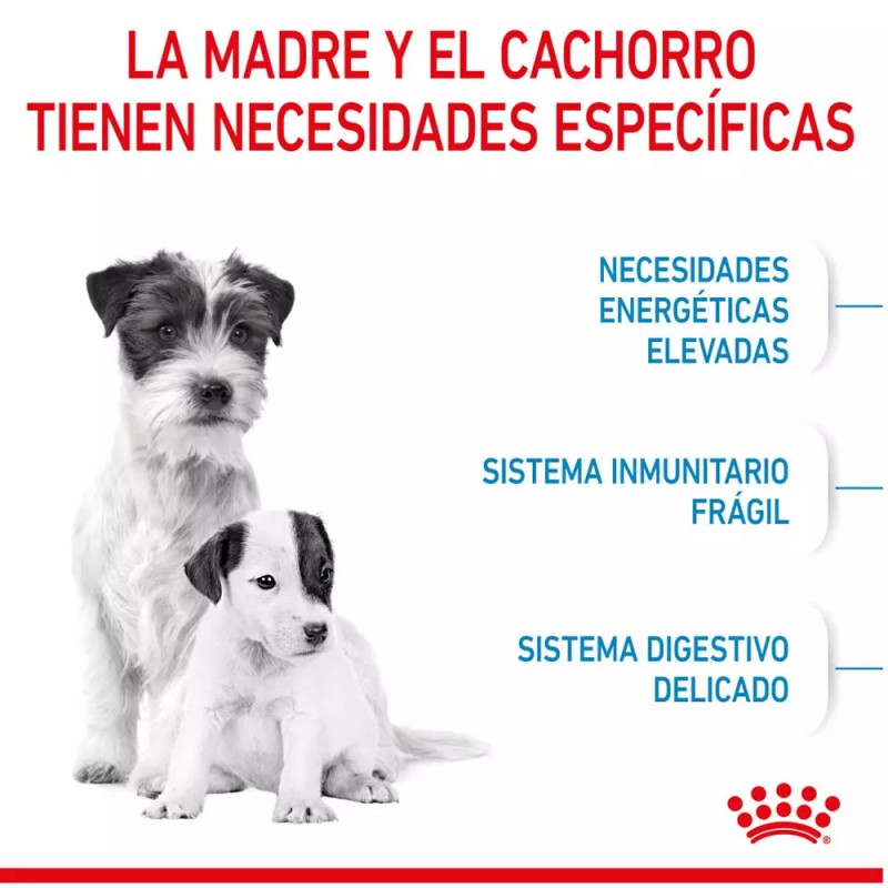 Alimento Royal Canin SHN Mini Starter Mother & Babydog 4Kg