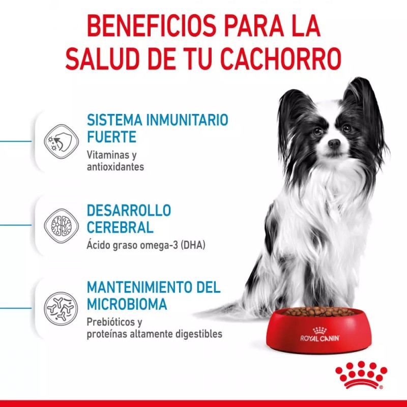 Alimento Royal Canin SHN para Perros X-Small Puppy 1.5Kg