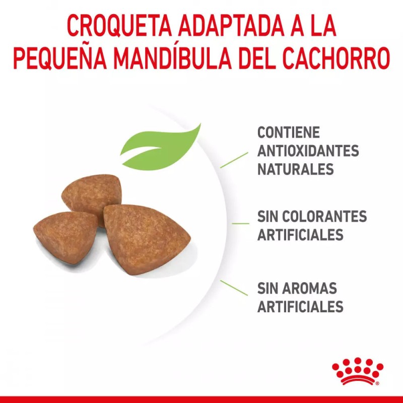 Alimento Royal Canin SHN para Perros X-Small Puppy 500gr