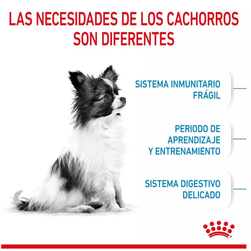 Alimento Royal Canin SHN para Perros X-Small Puppy 500gr