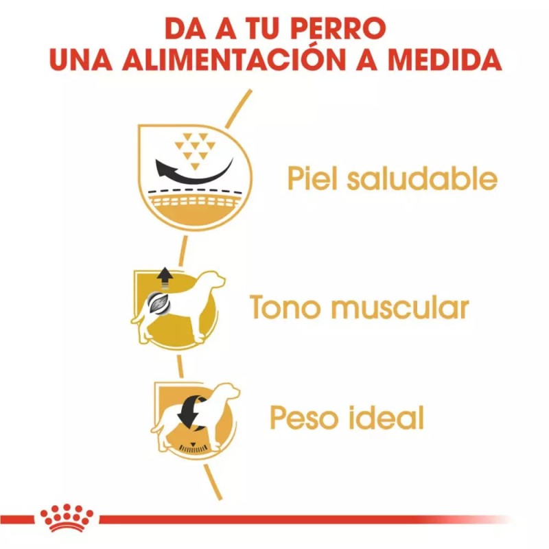 Alimento Royal Canin BHN para Perros Pug Adulto 3Kg