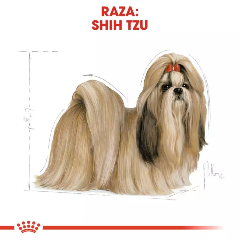 Alimento Royal Canin BHN para Perros Shih Tzu Adulto 3Kg