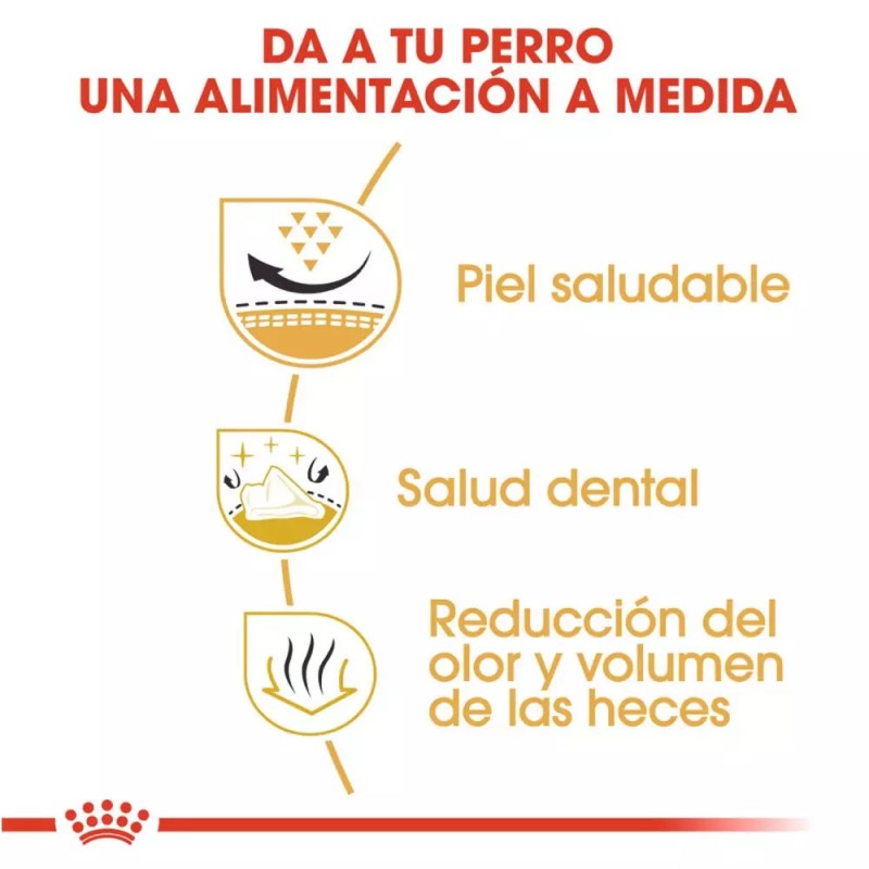 Alimento Royal Canin BHN para Perros Shih Tzu Adulto 3Kg