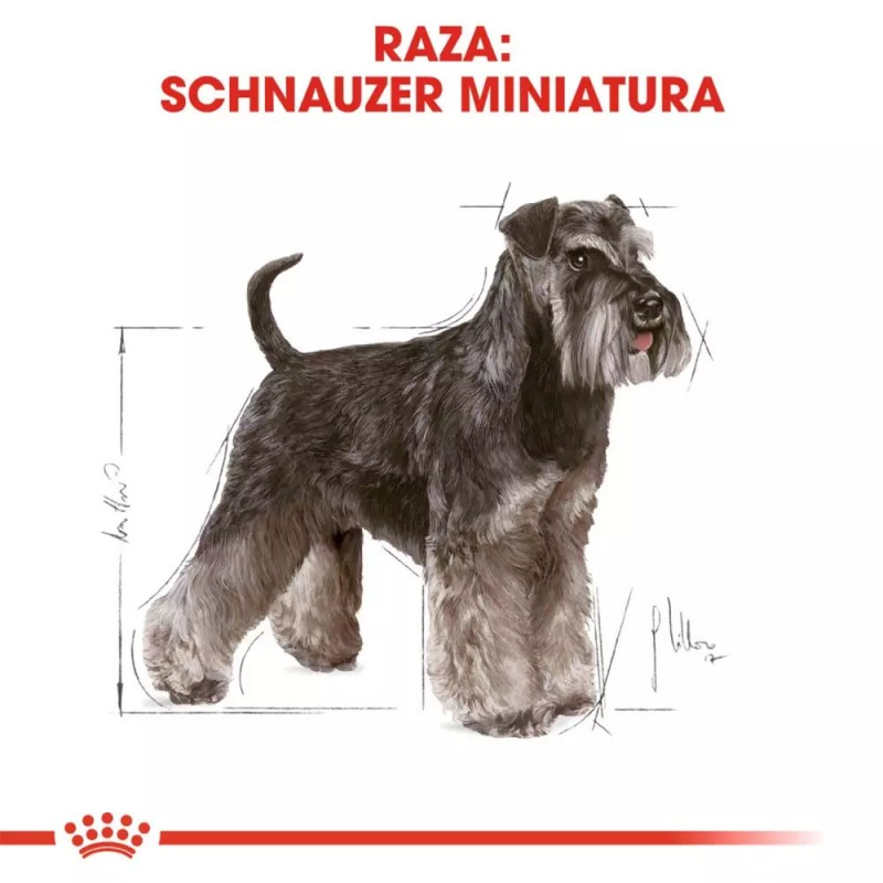 Alimento Royal Canin BHN para Perros Schnauzer Adulto 3Kg