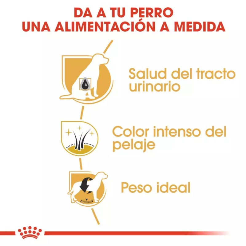Alimento Royal Canin BHN para Perros Schnauzer Adulto 3Kg