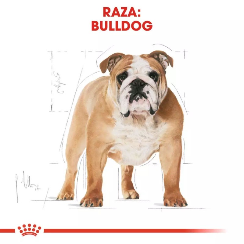Alimento Royal Canin BHN para Perros Bulldog Adulto 12Kg