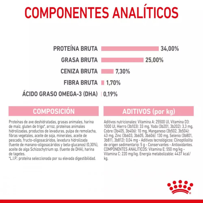 Alimento Royal Canin FHN para Gatos Mother & Babycat 10Kg