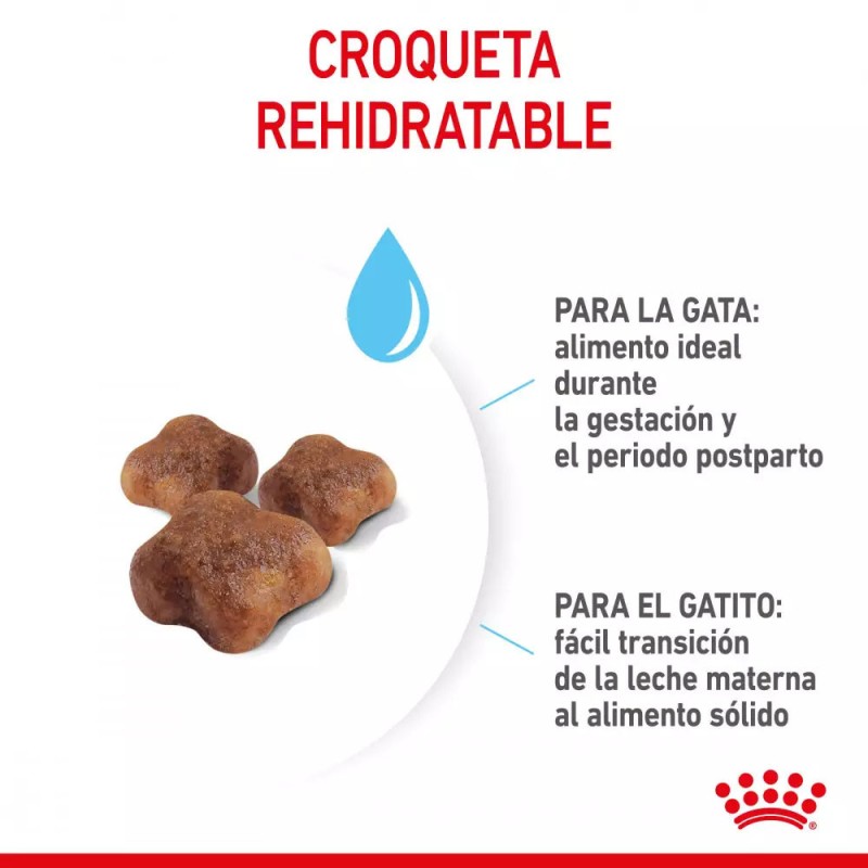 Alimento Royal Canin FHN para Gatos Mother & Babycat 10Kg