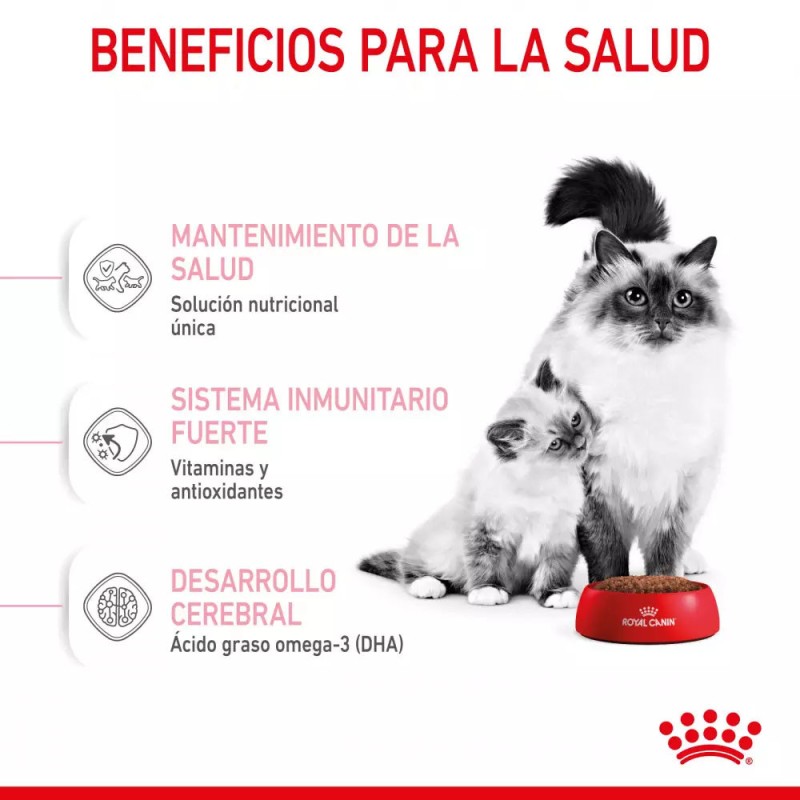 Alimento Royal Canin FHN para Gatos Mother & Babycat 10Kg
