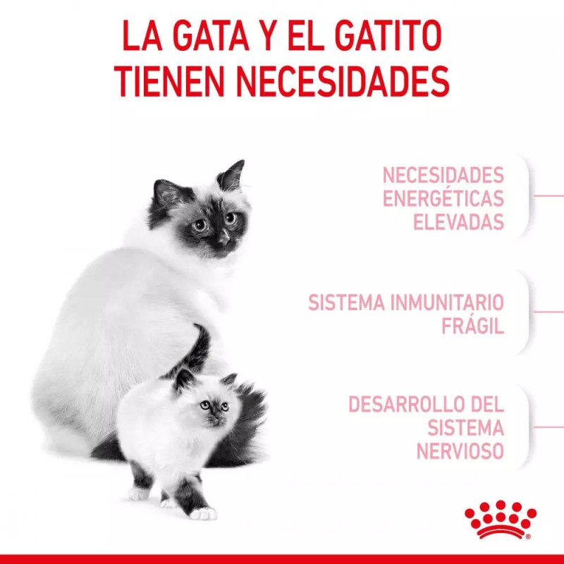 Alimento Royal Canin FHN para Gatos Mother & Babycat 10Kg