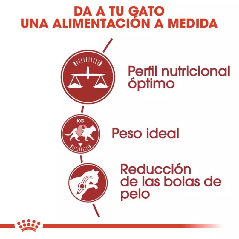 Alimento Royal Canin FHN para Gatos Adultos Fit 32 2Kg