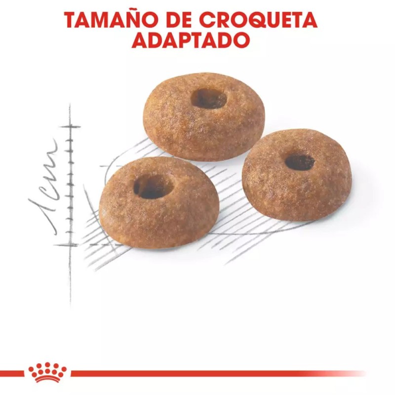 Alimento Royal Canin FHN para Gatos Adultos Fit 32 2Kg