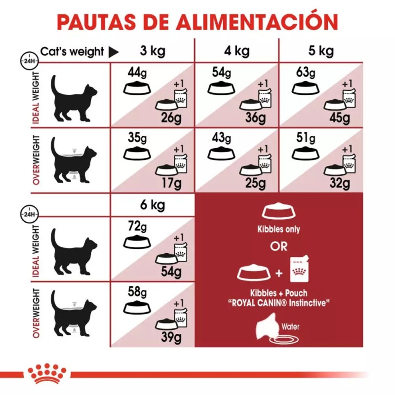 Alimento Royal Canin FHN para Gatos Adultos Fit 32 2Kg