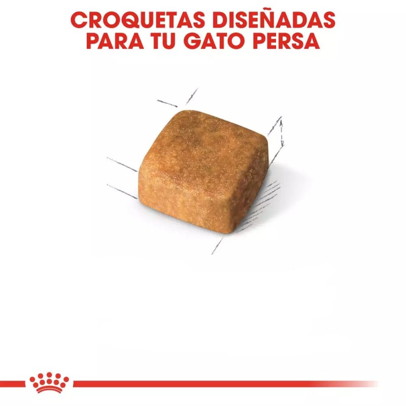Alimento Royal Canin FBN para Gatitos Persa 2Kg