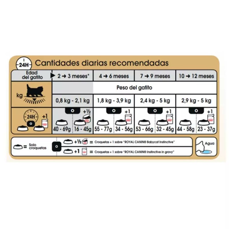 Alimento Royal Canin FBN para Gatitos Persa 2Kg