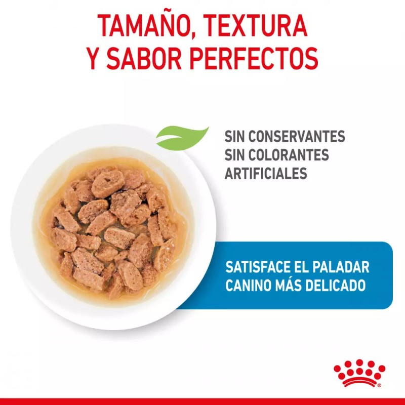 Salsa Royal Canin SHN para Perros Mini Puppy 12x85gr