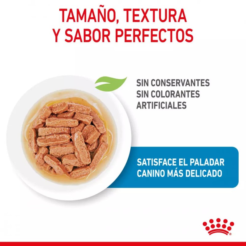 Salsa Royal Canin SHN para Perros Medianos Puppy 10x140gr