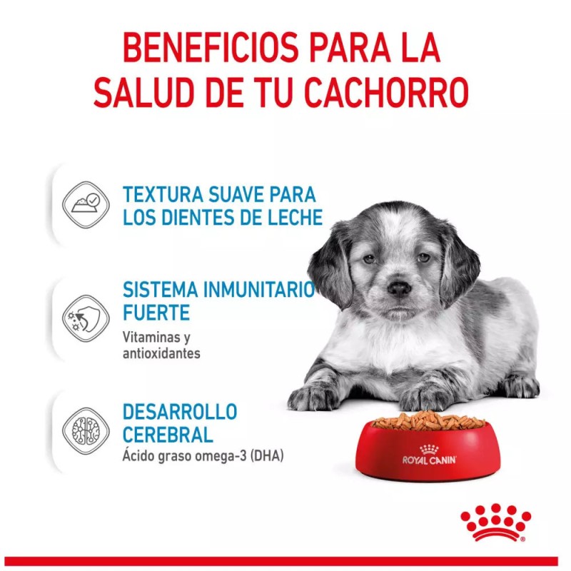 Salsa Royal Canin SHN para Perros Medianos Puppy 10x140gr