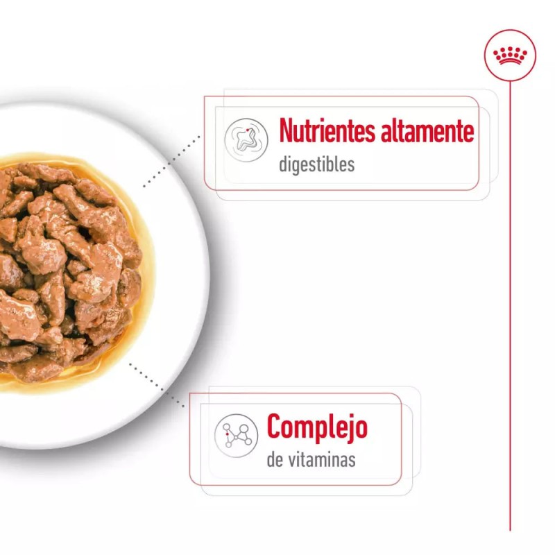 Salsa Royal Canin SHN para Perros Mini Adulto 12x85gr
