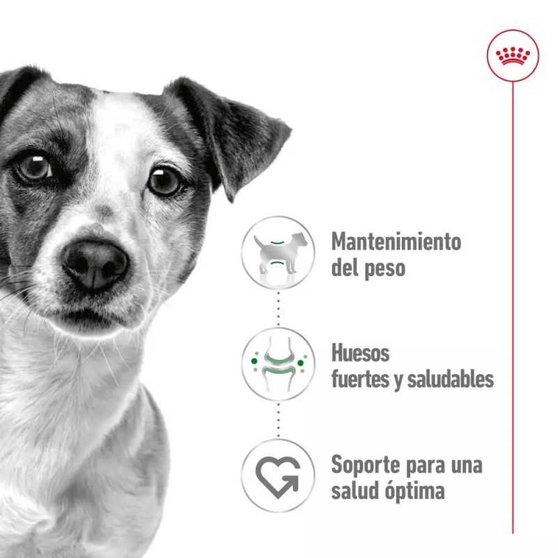 Salsa Royal Canin SHN para Perros Mini Adulto 12x85gr
