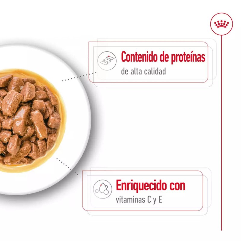 Salsa Royal Canin SHN para Perros Medianos Adultos 10x140gr