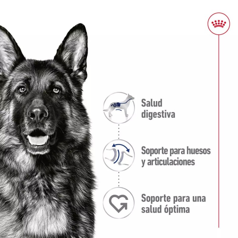 Salsa Royal Canin SHN para Perros Maxi Adultos 10x140gr