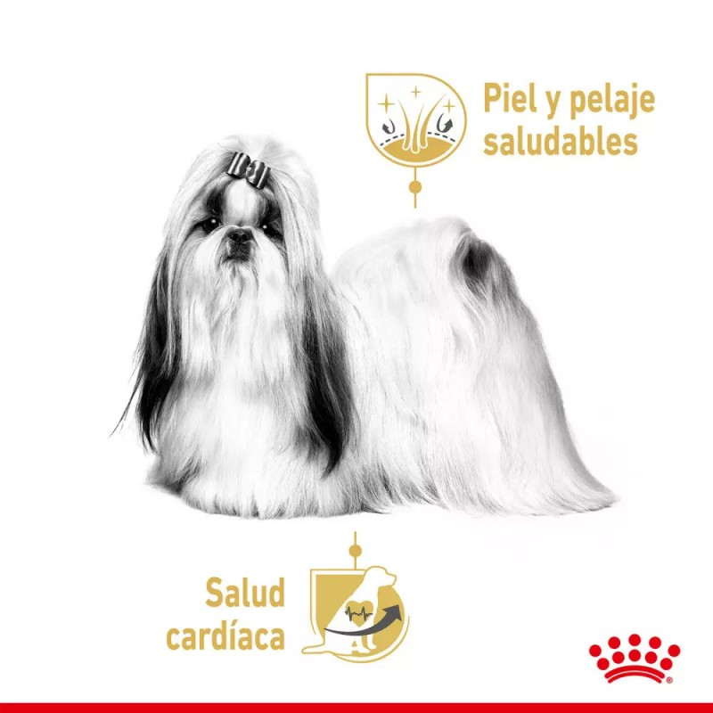 Paté Royal Canin BHN para Perros Shih Tzu Adulto 12x85gr
