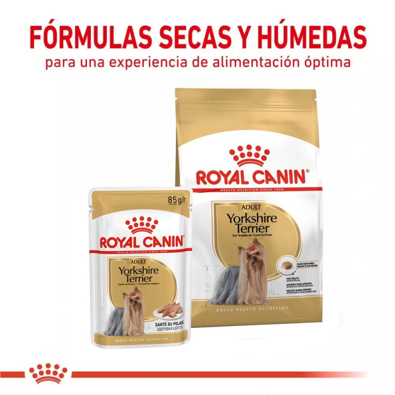 Paté Royal Canin BHN para Perros Yorkshire Adulto 12x85gr