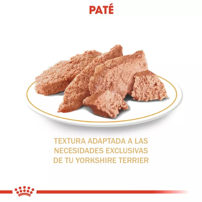 Paté Royal Canin BHN para Perros Yorkshire Adulto 12x85gr