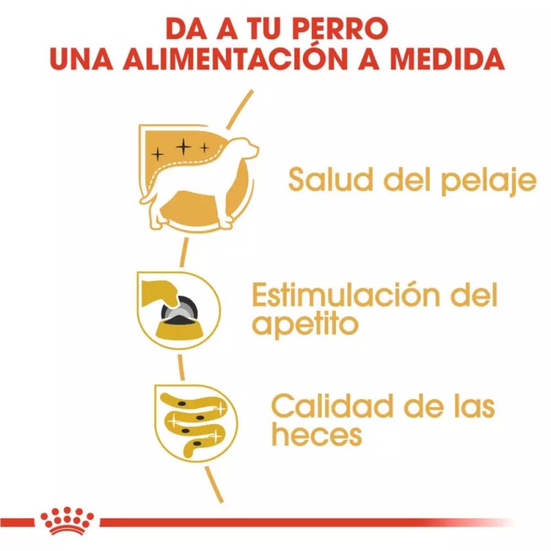 Paté Royal Canin BHN para Perros Yorkshire Adulto 12x85gr