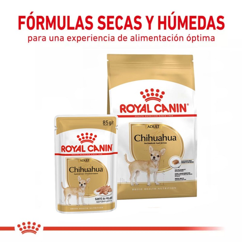 Paté Royal Canin BHN para Perros Chihuahua Adulto 12x85gr